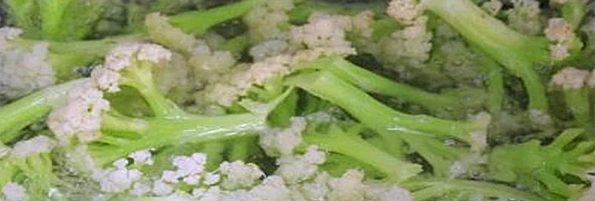 焯煮、油炸設(shè)備